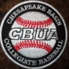 Not Specified Chesapeake Basin (CBUA) Chesapeake Basin CBUA Patch